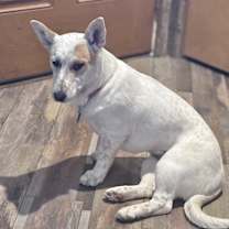 Thumbnail photo of Coco #4
