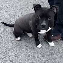 Thumbnail photo of Melvin #2