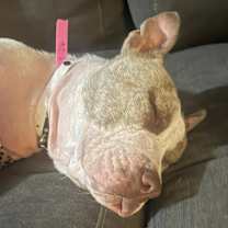 Thumbnail photo of Shara #3