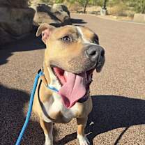 Thumbnail photo of Remi  #2