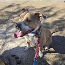 Thumbnail photo of Remi  #4