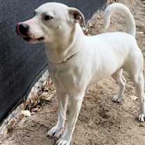 Thumbnail photo of HOLLY #3