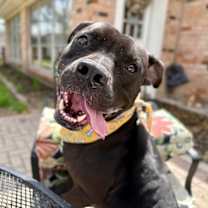 Thumbnail photo of Waldo the wonderful one #1