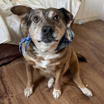 Thumbnail photo of Tanning #3