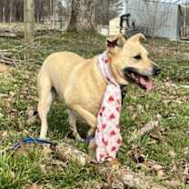 Thumbnail photo of Molly #2