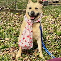 Thumbnail photo of Molly #3