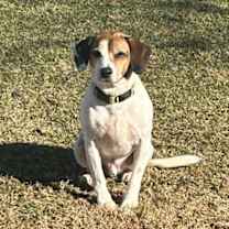 Thumbnail photo of Dixon #1