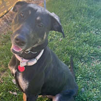 Thumbnail photo of Mia #4