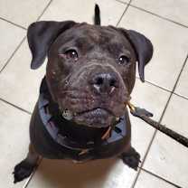 Thumbnail photo of Polly #1