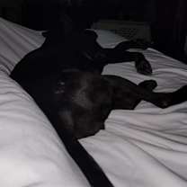 Thumbnail photo of Polly #4
