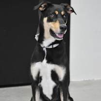 Thumbnail photo of Honey 3374 #1