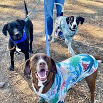 Thumbnail photo of Jackson Galaxy #3