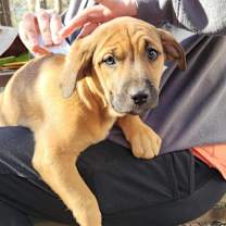 Thumbnail photo of Felicity #3