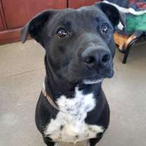 Thumbnail photo of Cheesecake #2