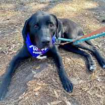 Thumbnail photo of Jackson Galaxy #2