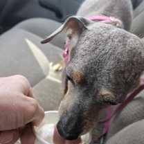 Thumbnail photo of Sienna #3