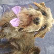 Thumbnail photo of Rusty #3