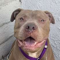 Thumbnail photo of Perry #2