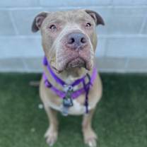 Thumbnail photo of Perry #3