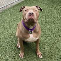 Thumbnail photo of Perry #4