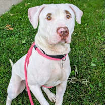 Thumbnail photo of Kenny #3