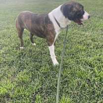 Thumbnail photo of Jaylan #2