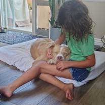 Thumbnail photo of Guero #4
