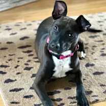 Thumbnail photo of WINNIE #1