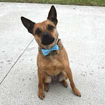 Thumbnail photo of NEWTON (JAX) #2