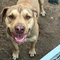 Thumbnail photo of Frida #1