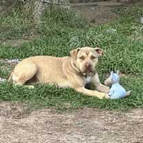 Thumbnail photo of Frida #2