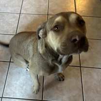 Thumbnail photo of Frida #3