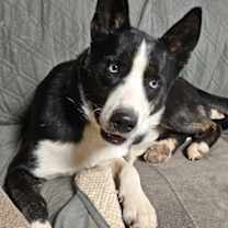 Thumbnail photo of Cooper #1