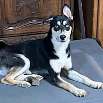 Thumbnail photo of Groucho #1