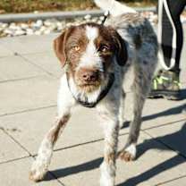 Thumbnail photo of Phill #2