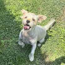 Thumbnail photo of Theo #4