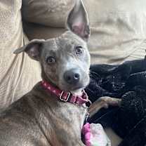 Thumbnail photo of Ruie #2