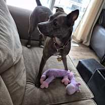 Thumbnail photo of Ruie #3