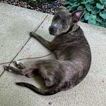 Thumbnail photo of Ruie #1