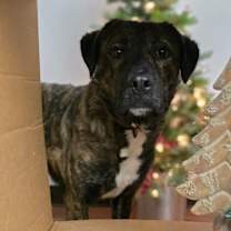 Thumbnail photo of Bubbles #1