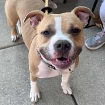 Thumbnail photo of Helen #2