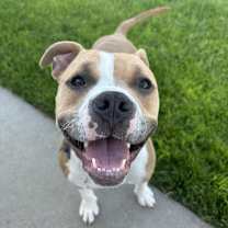 Thumbnail photo of Helen #3