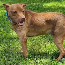 Thumbnail photo of SUNNY #2