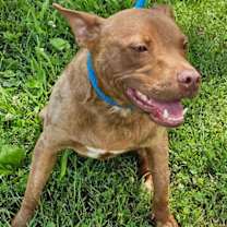 Thumbnail photo of SUNNY #3