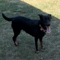 Thumbnail photo of Mila #1