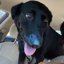 Thumbnail photo of Mila #2