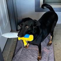 Thumbnail photo of Mila #3