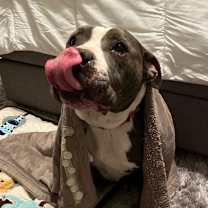 Thumbnail photo of Celene #4