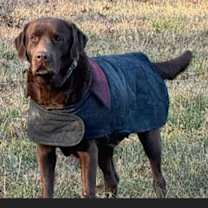 Thumbnail photo of Kimbra #3