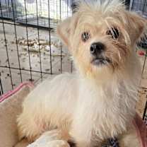 Thumbnail photo of Lyla #2